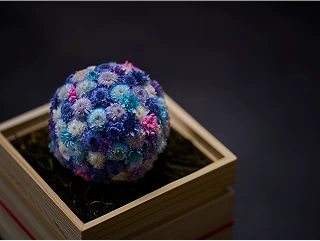 鞠