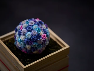 鞠