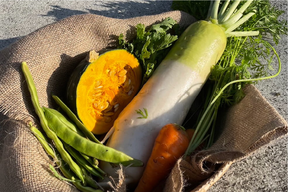 多品目の野菜を露地栽培で育てる